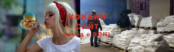 спиды Няндома
