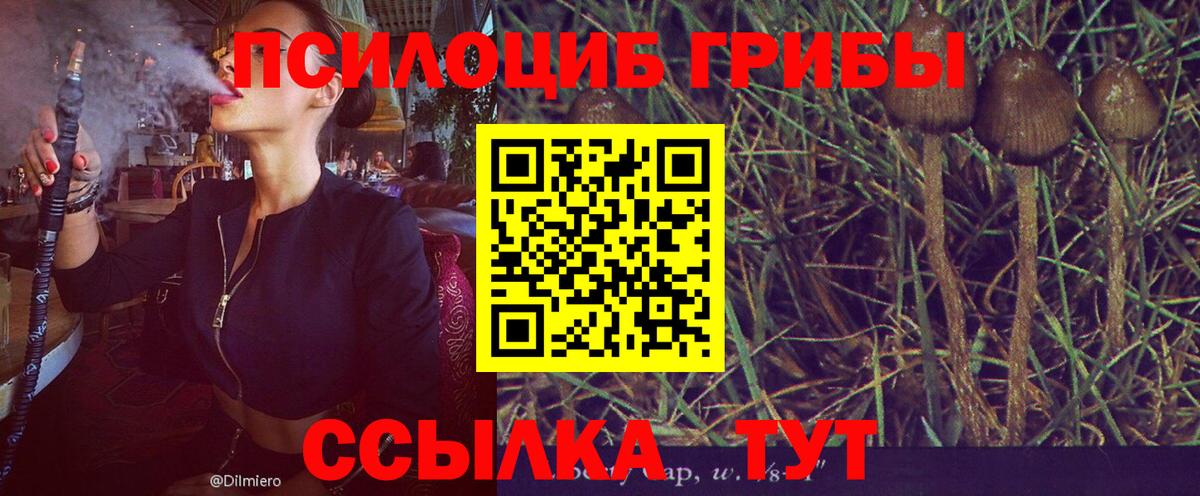 Альфа ПВП Азнакаево
